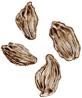 large variety